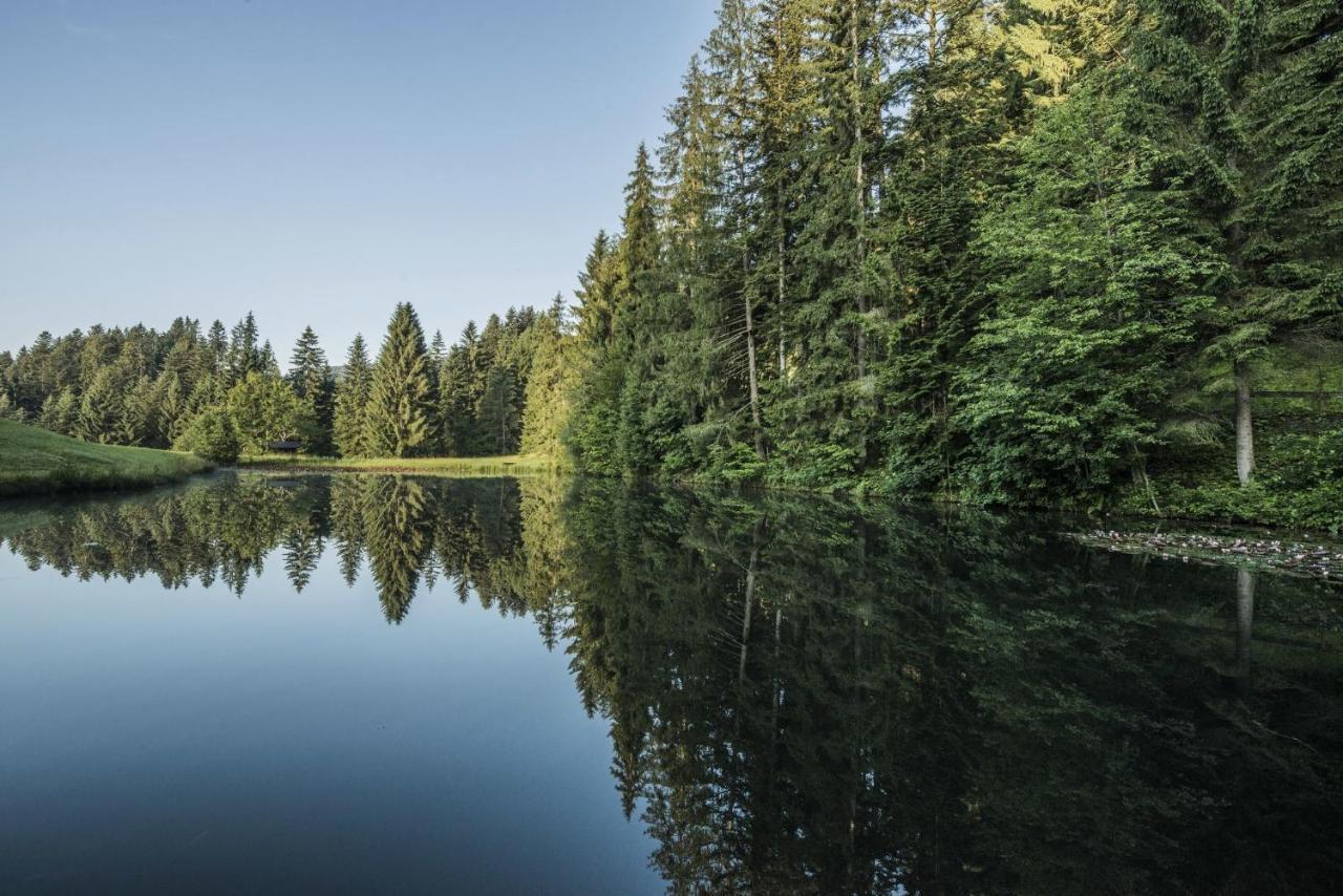 Ferienwohnung Waldglueck Reith bei Kitzbühel Dış mekan fotoğraf